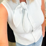 Leah Blue Bow Sweater Top