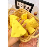 Viral Cheese Squishy
